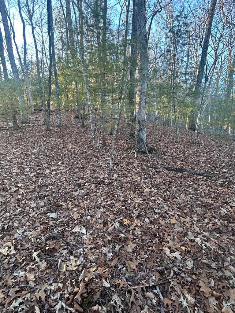 0 Stanleys Ridge, Morganton GA 30560 - Photo