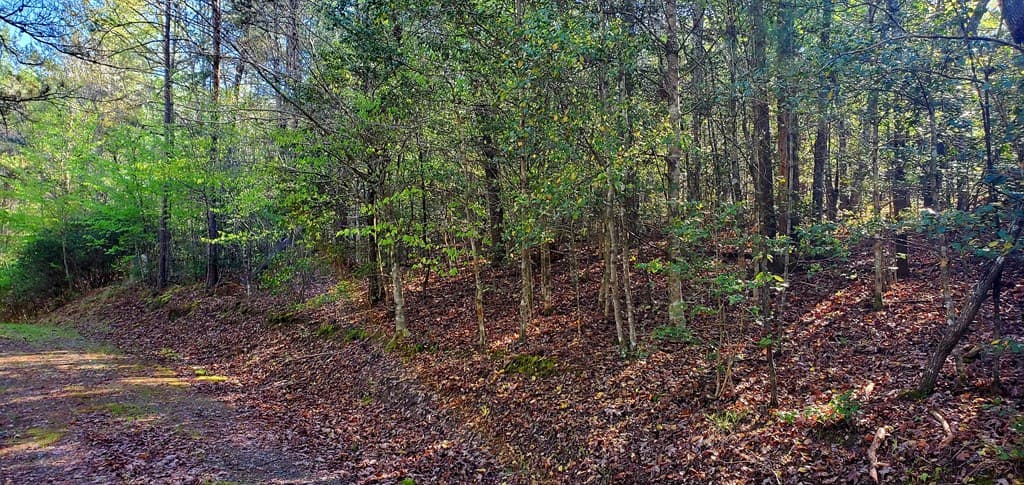 H-5 River Sound Village, Hayesville NC 28904 - Photo