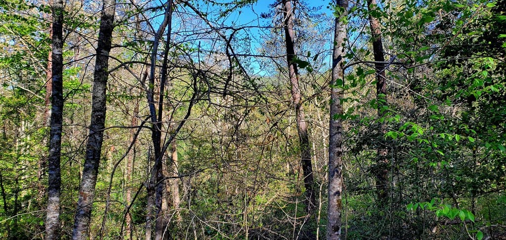 H-5 River Sound Village, Hayesville NC 28904 - Photo