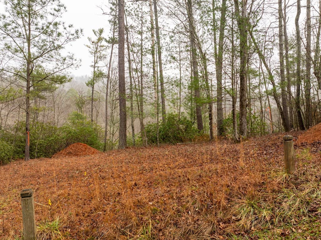 Lot 1742 Meadow Lane, Talking Rock GA 30175 - Photo