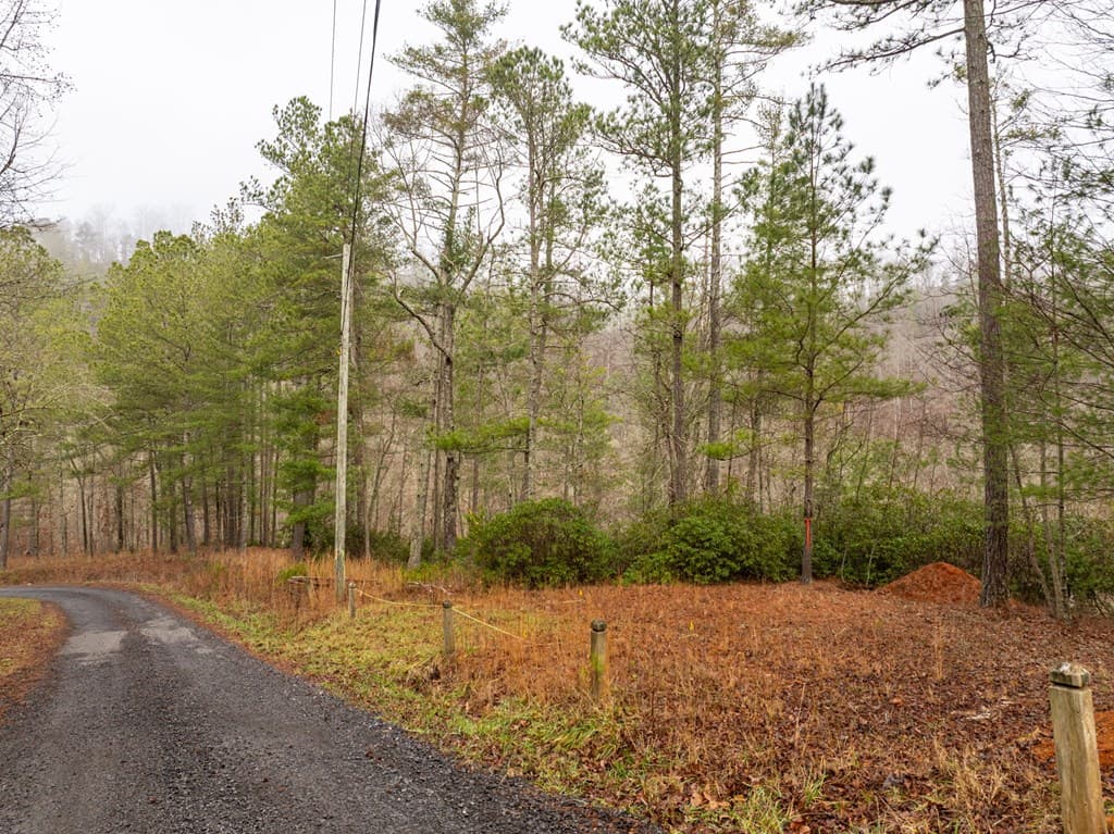 Lot 1742 Meadow Lane, Talking Rock GA 30175 - Photo