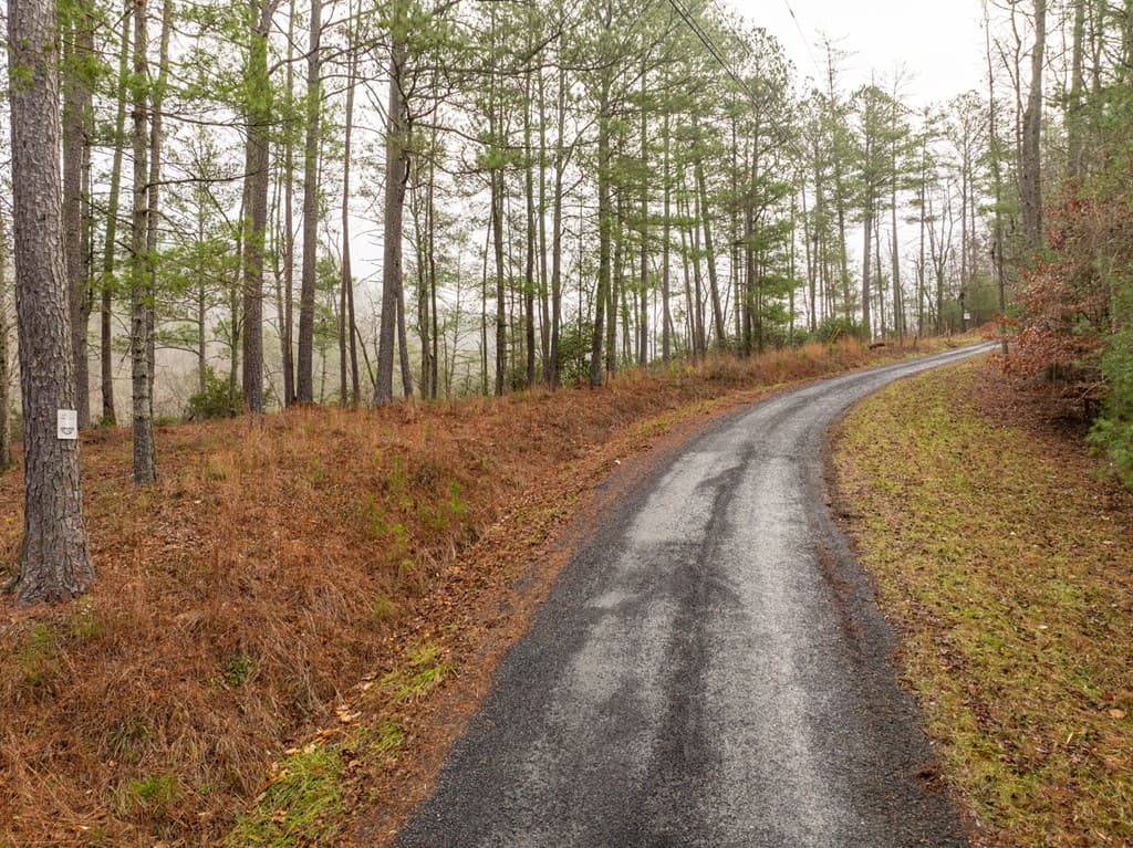 Lot 1742 Meadow Lane, Talking Rock GA 30175 - Photo