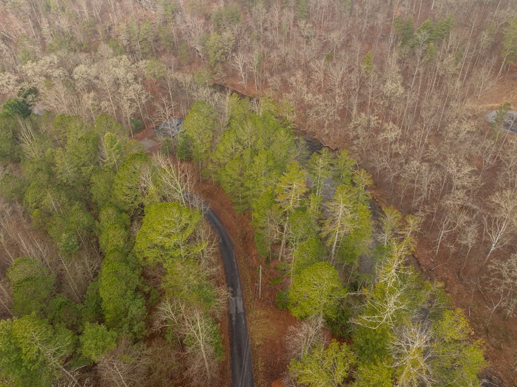 Lot 1742 Meadow Lane, Talking Rock GA 30175 - Photo
