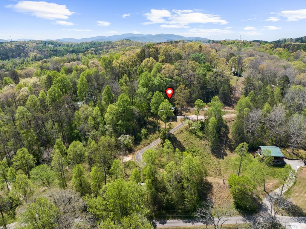 152 Cowboy Way, Mineral Bluff GA 30559 - Photo