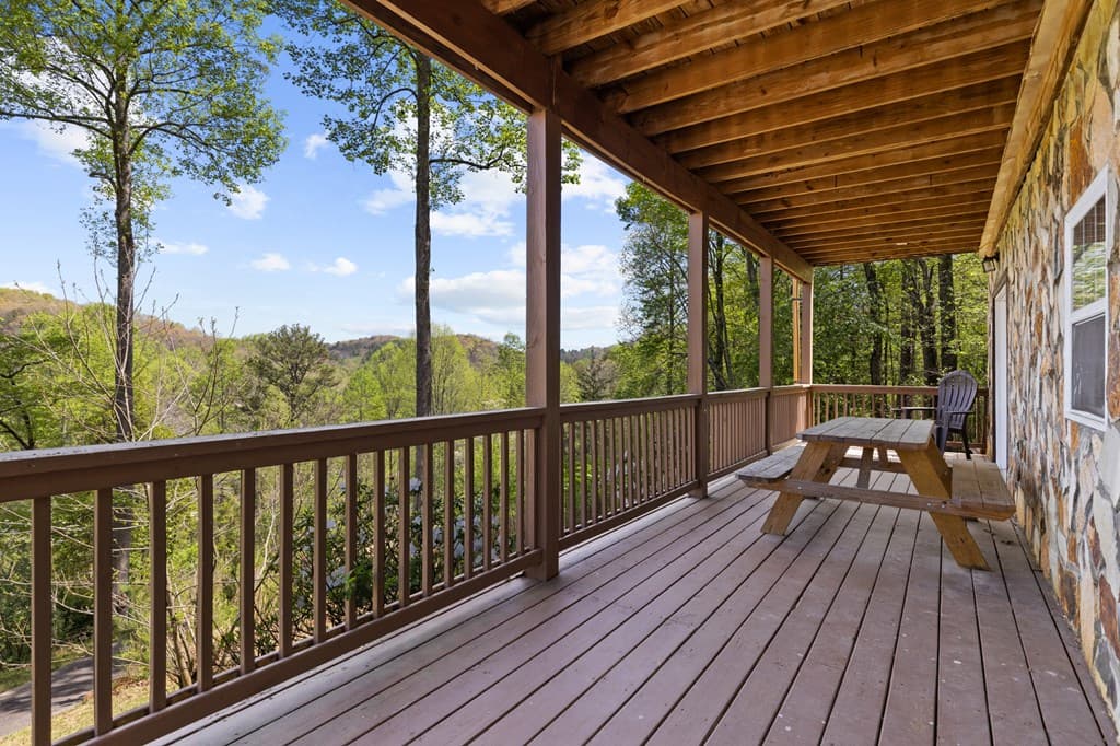 152 Cowboy Way, Mineral Bluff GA 30559 - Photo