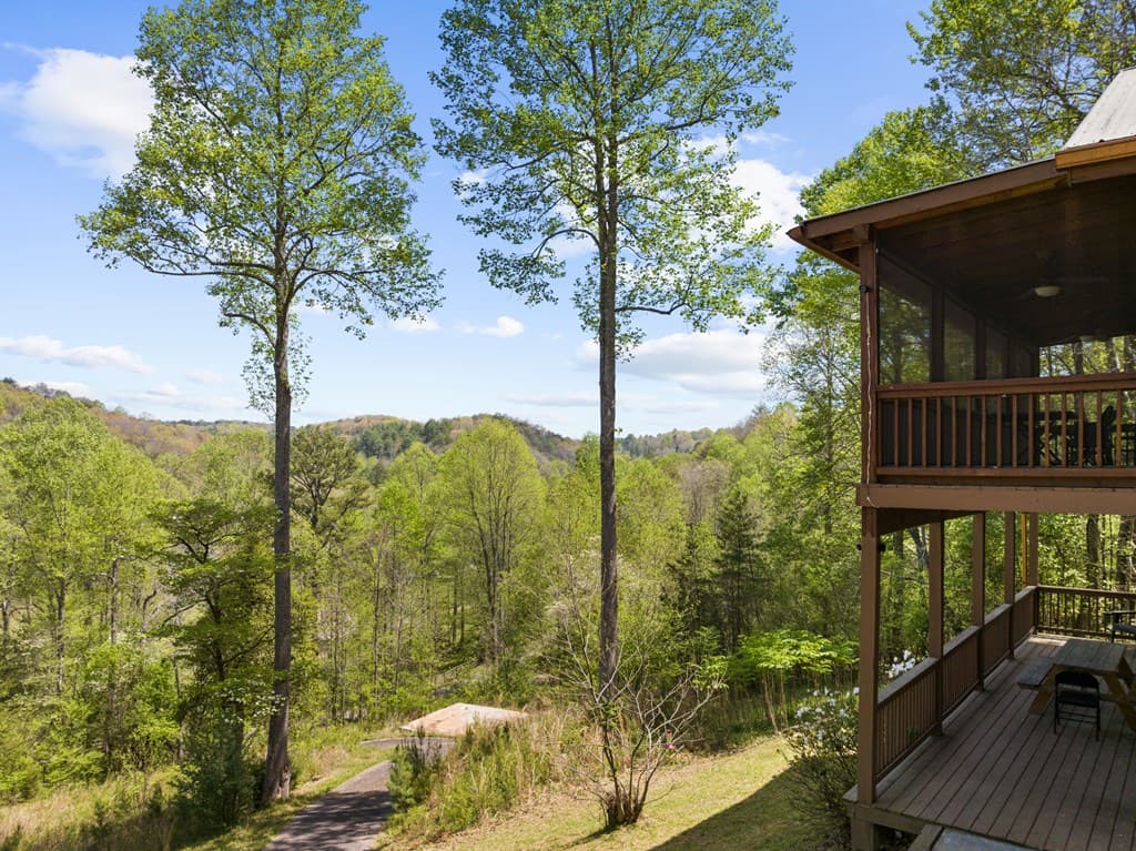 152 Cowboy Way, Mineral Bluff GA 30559 - Photo