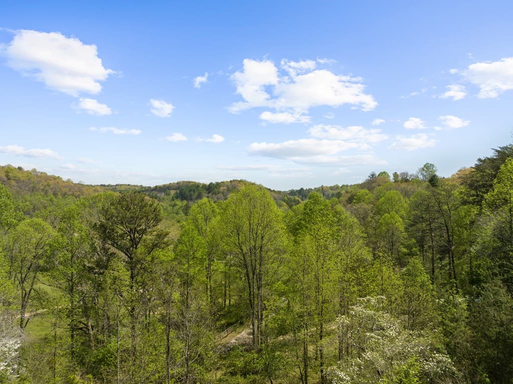 152 Cowboy Way, Mineral Bluff GA 30559 - Photo