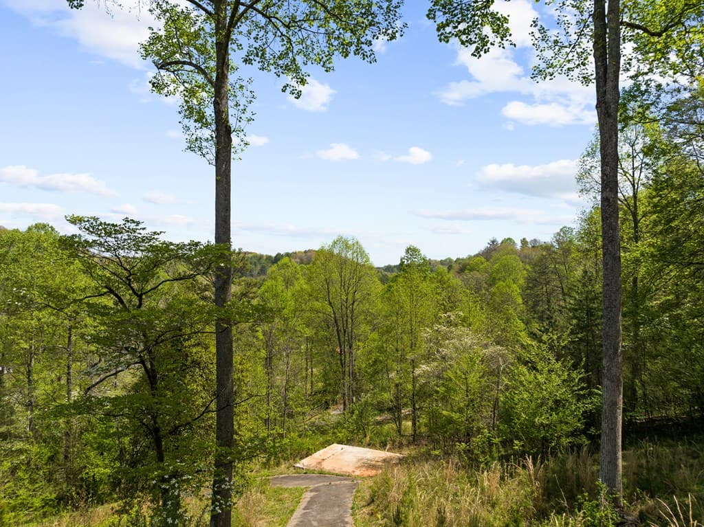 152 Cowboy Way, Mineral Bluff GA 30559 - Photo