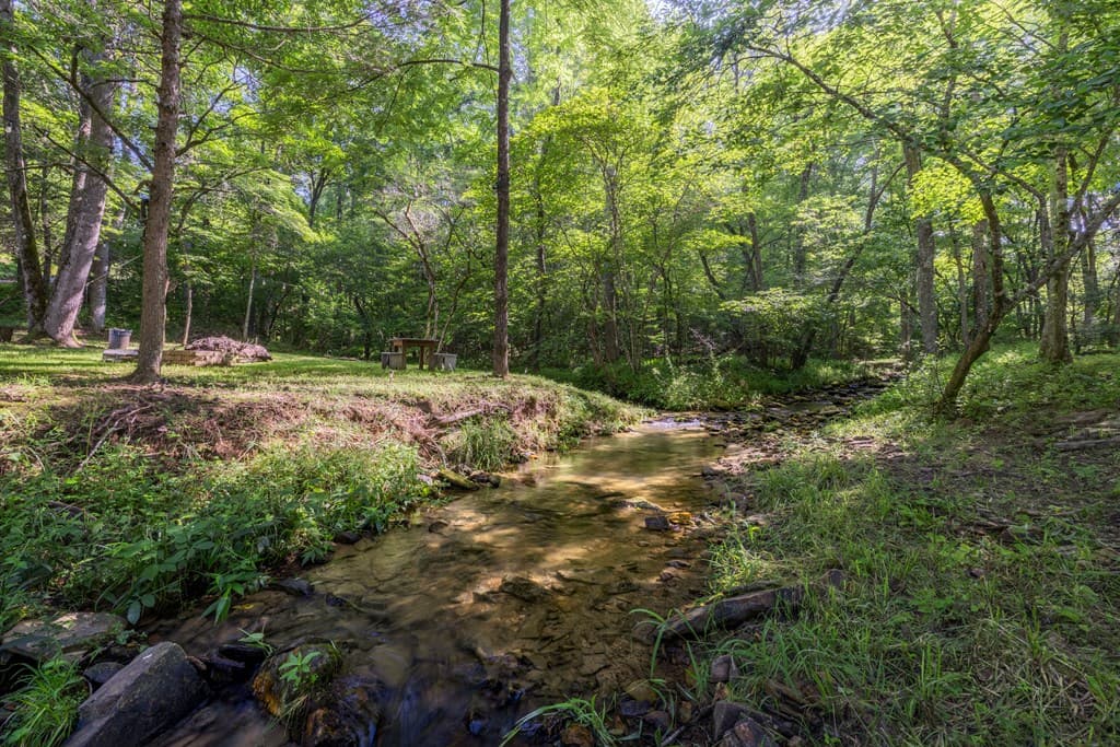 60 Buckeye Branch Road, Morganton GA 30560 - Photo