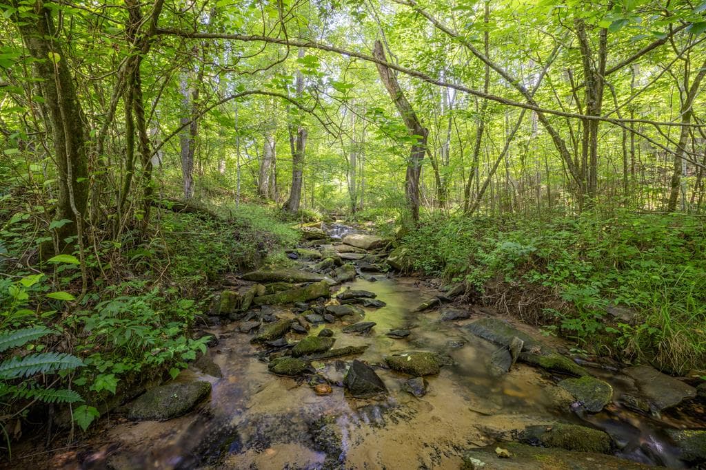 60 Buckeye Branch Road, Morganton GA 30560 - Photo