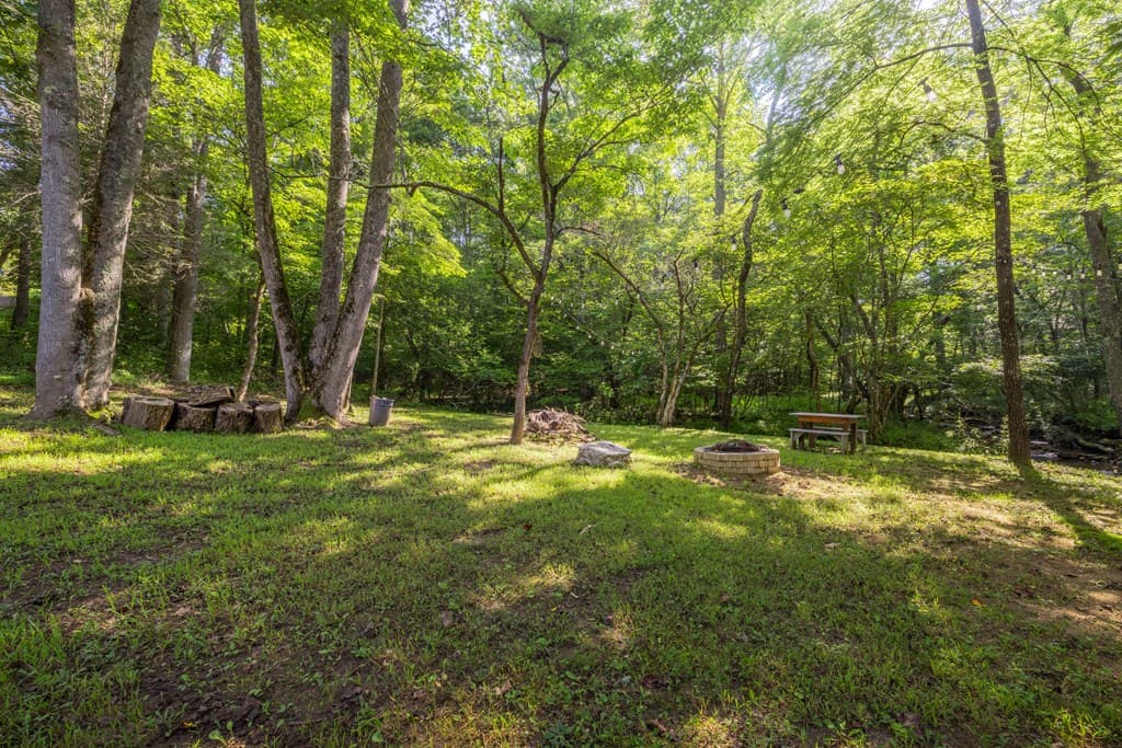 60 Buckeye Branch Road, Morganton GA 30560 - Photo