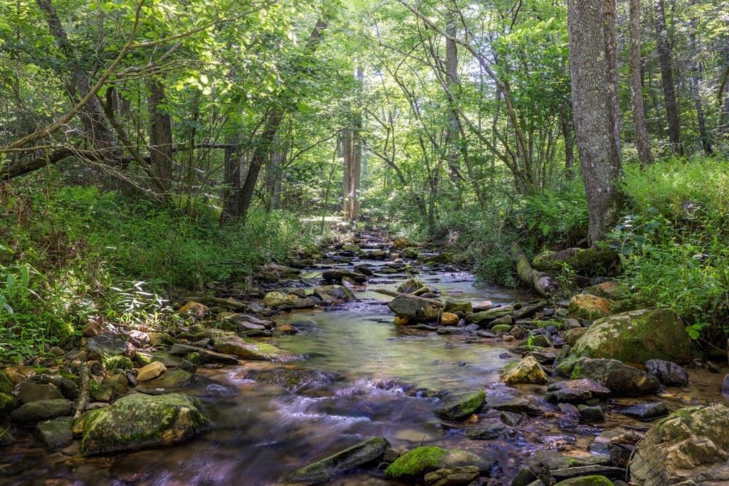 60 Buckeye Branch Road, Morganton GA 30560 - Photo