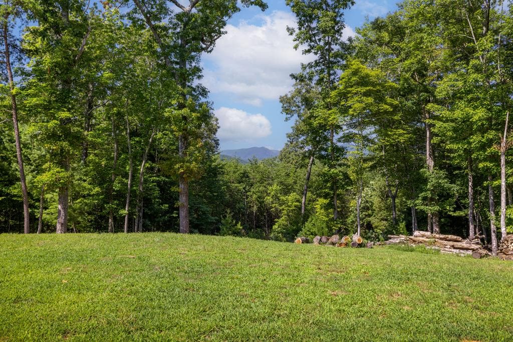 60 Buckeye Branch Road, Morganton GA 30560 - Photo