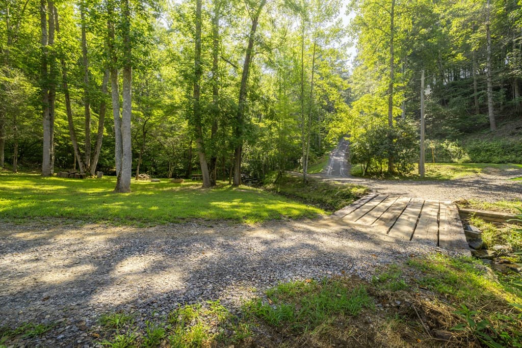 60 Buckeye Branch Road, Morganton GA 30560 - Photo