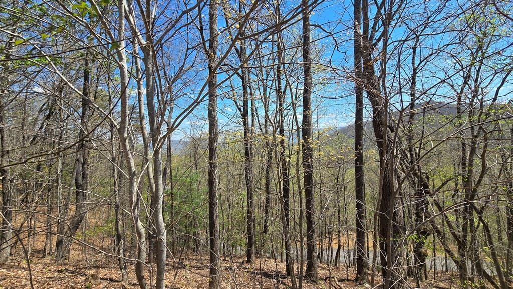 Lot 18 Overlook Loop, Young Harris GA 30582 - Photo