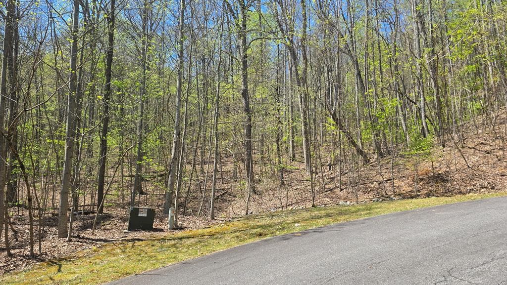 Lot 18 Overlook Loop, Young Harris GA 30582 - Primary photo