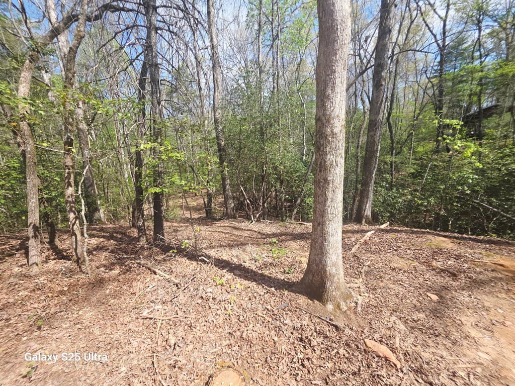 369 Nottely River Road, Murphy NC 28906 - Photo