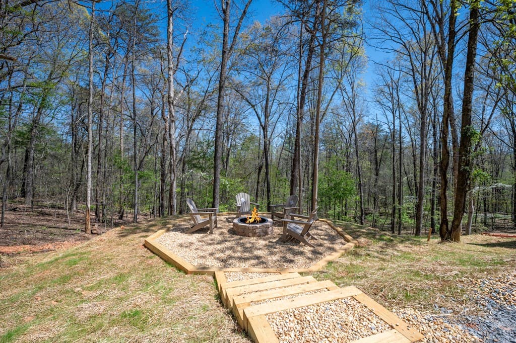 1038 Bluebird, Mineral Bluff GA 30559 - Photo