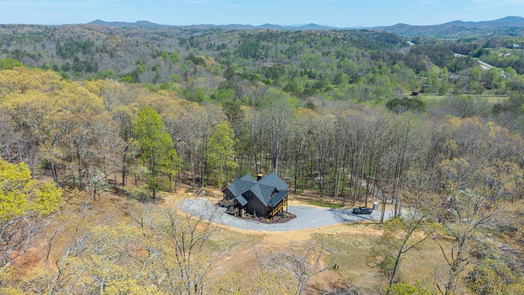 1038 Bluebird, Mineral Bluff GA 30559 - Photo
