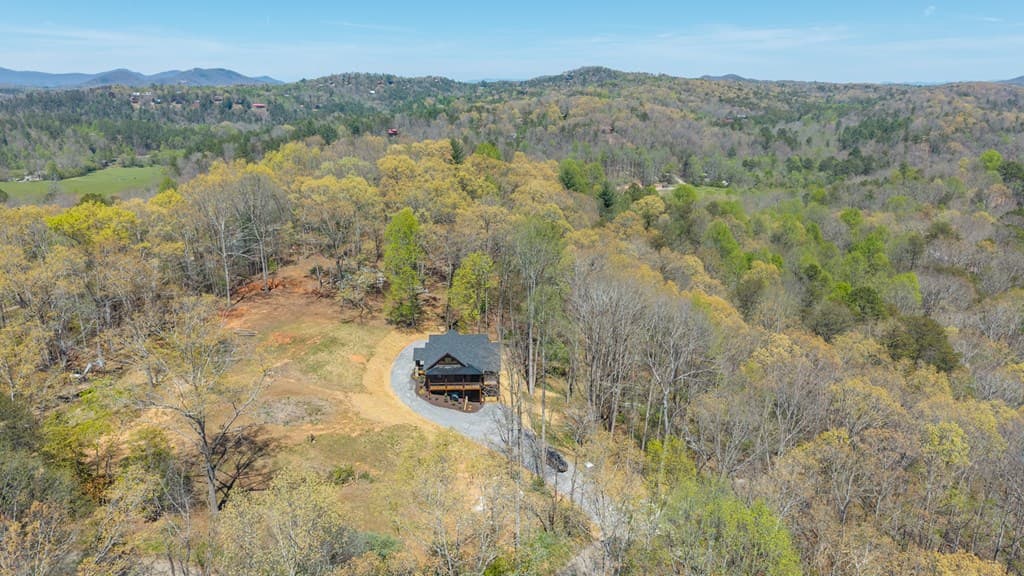 1038 Bluebird, Mineral Bluff GA 30559 - Photo