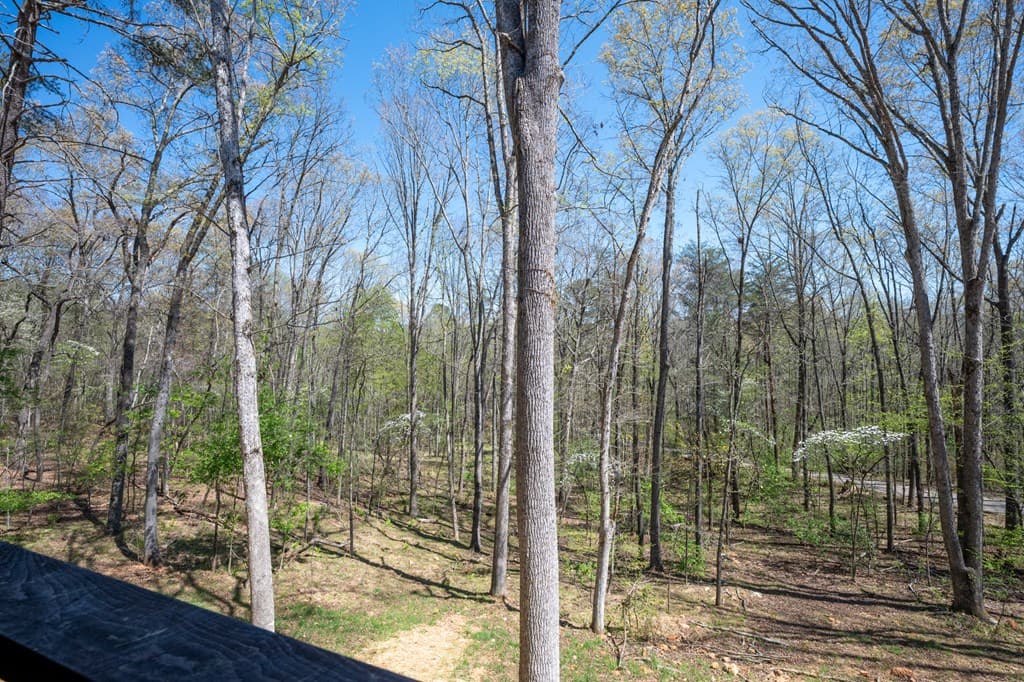 1038 Bluebird, Mineral Bluff GA 30559 - Photo