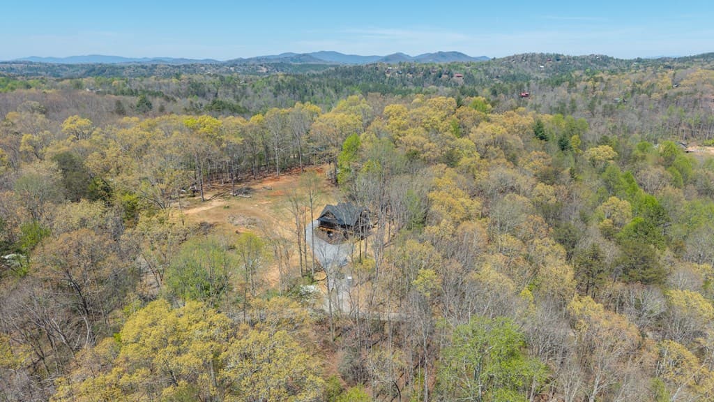 1038 Bluebird, Mineral Bluff GA 30559 - Photo