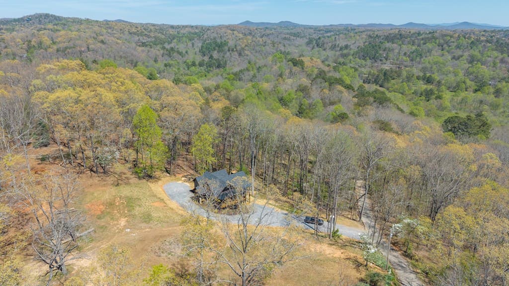 1038 Bluebird, Mineral Bluff GA 30559 - Photo