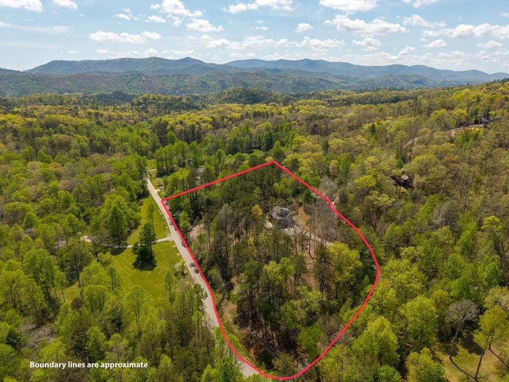 61 Overlook Road, Blue Ridge GA 30513 - Photo