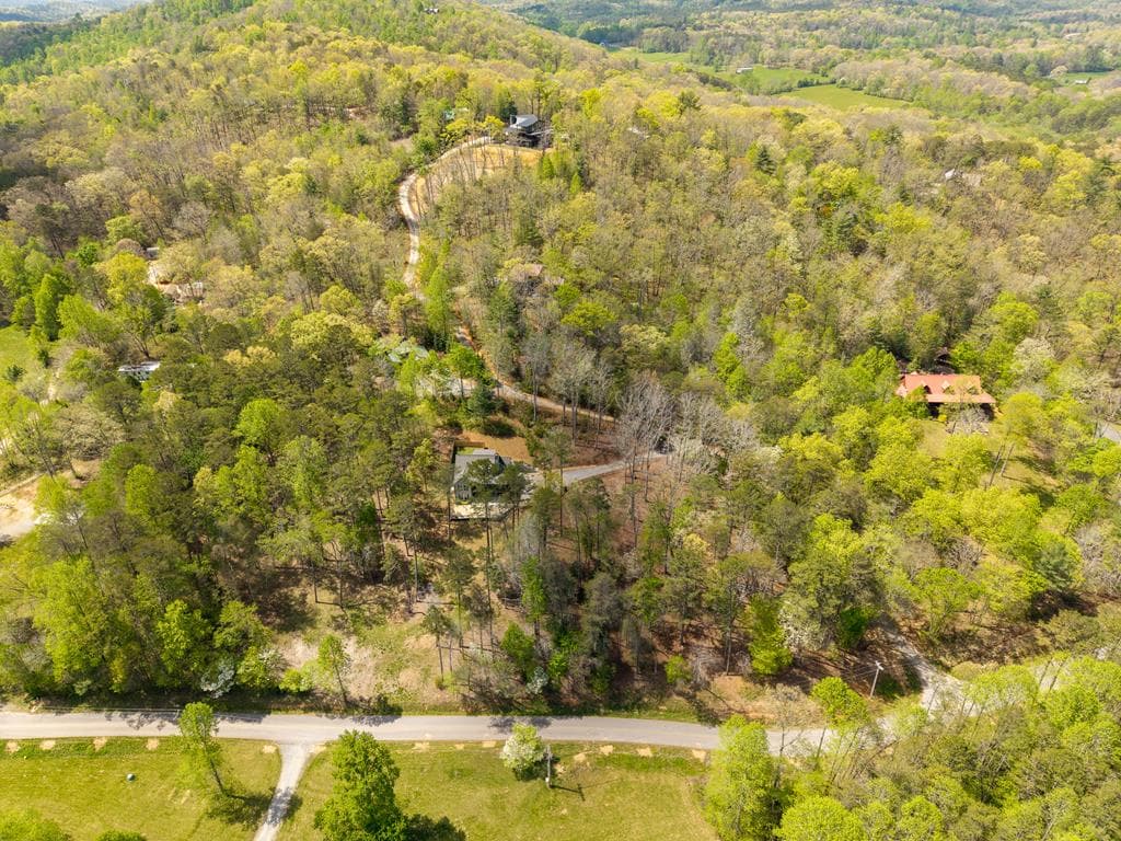 61 Overlook Road, Blue Ridge GA 30513 - Photo