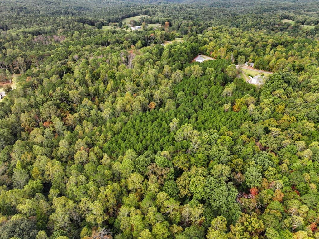 0 Old Pleasant Valley, Talking Rock GA 30175 - Photo
