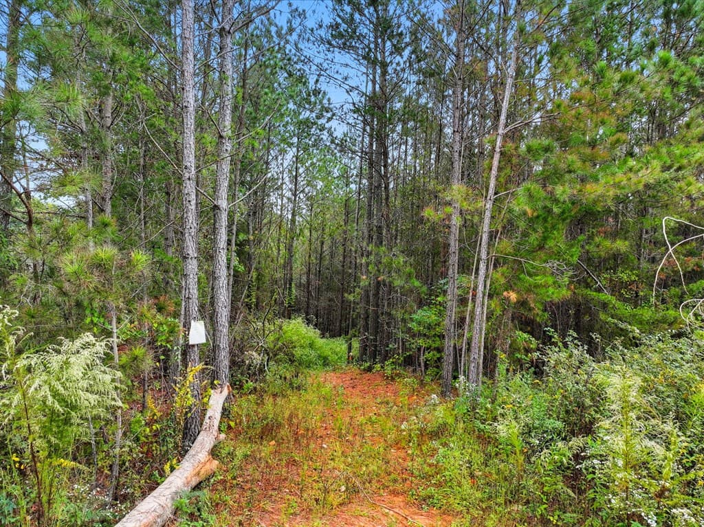 0 Old Pleasant Valley, Talking Rock GA 30175 - Photo
