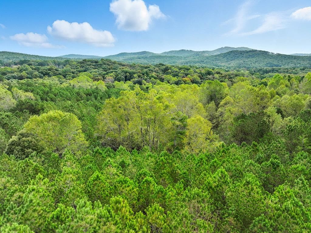 0 Old Pleasant Valley, Talking Rock GA 30175 - Primary photo