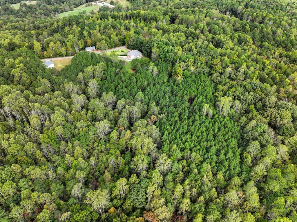 0 Old Pleasant Valley, Talking Rock GA 30175 - Photo