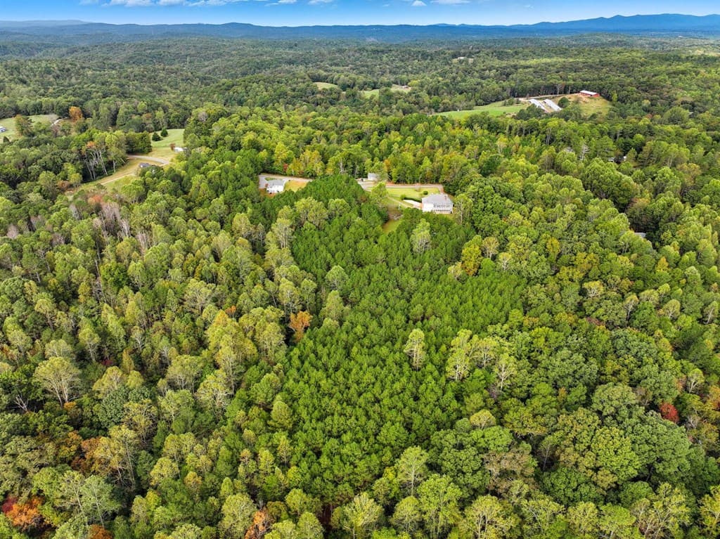 0 Old Pleasant Valley, Talking Rock GA 30175 - Photo