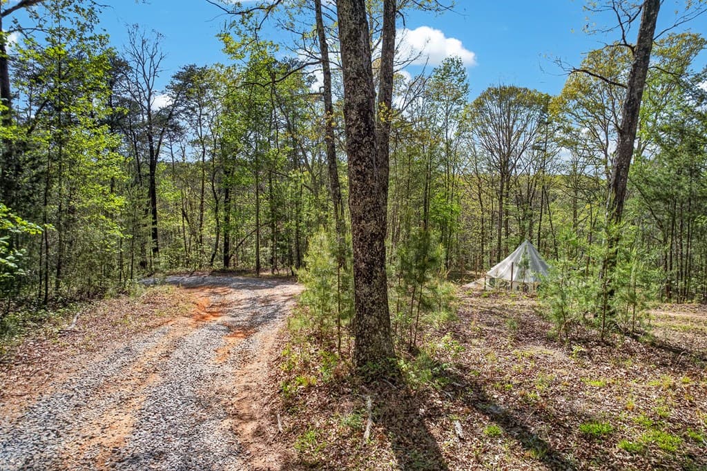 7.27 ac. Sumac Lane, Ellijay GA 30540 - Photo