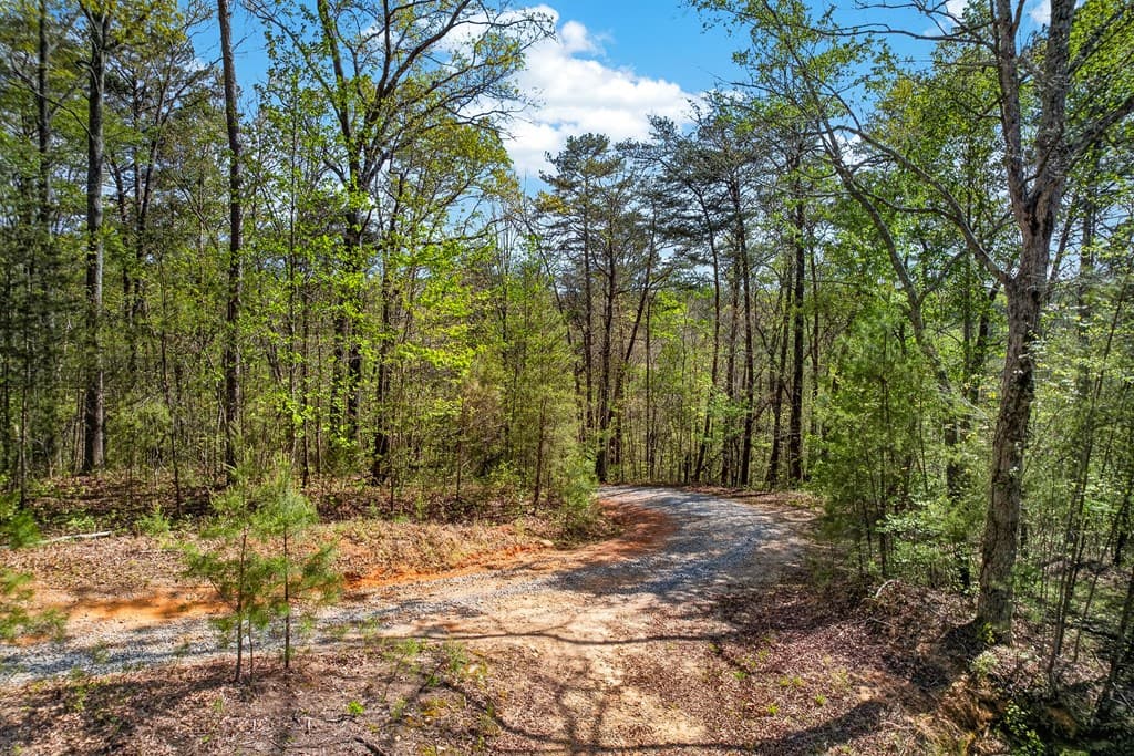 7.27 ac. Sumac Lane, Ellijay GA 30540 - Photo