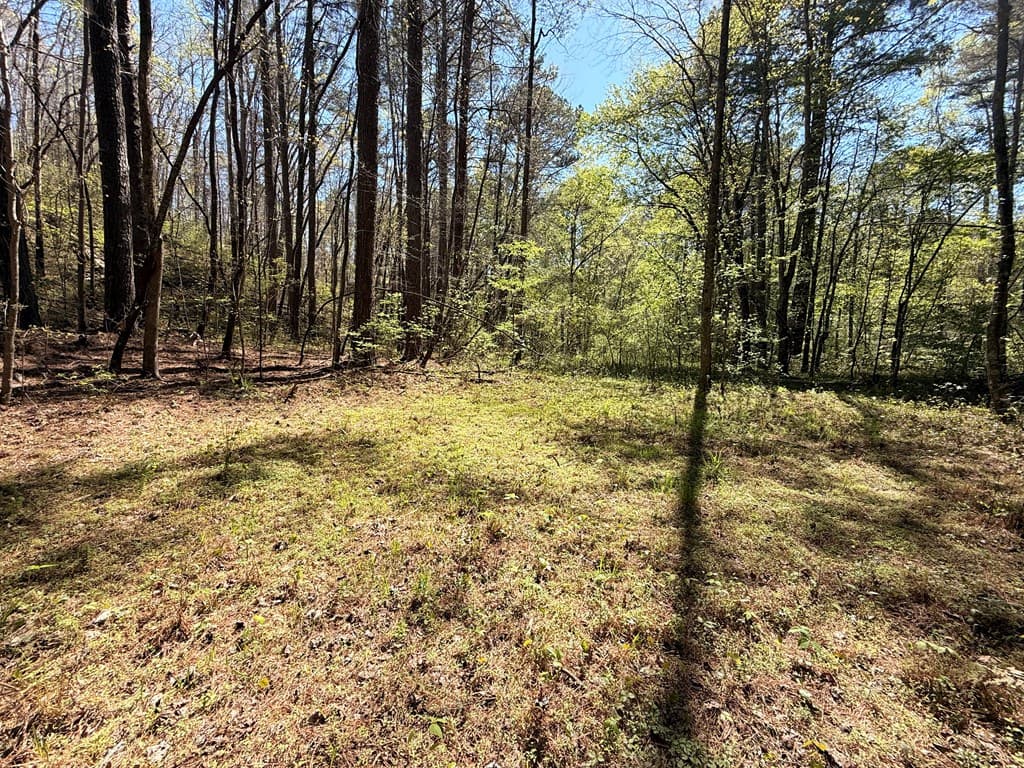 7.27 ac. Sumac Lane, Ellijay GA 30540 - Photo