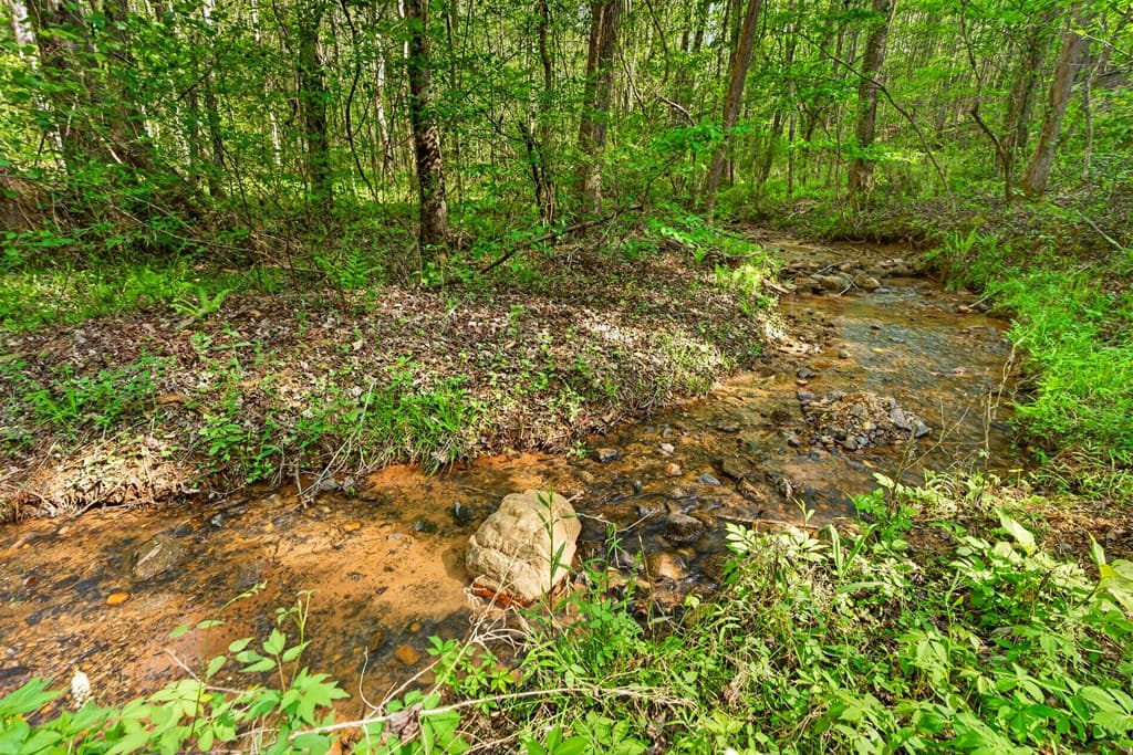 7.27 ac. Sumac Lane, Ellijay GA 30540 - Photo