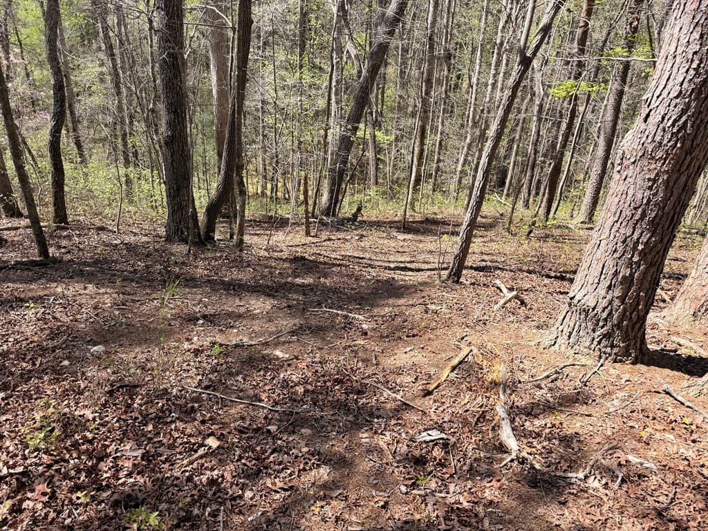 7.27 ac. Sumac Lane, Ellijay GA 30540 - Photo