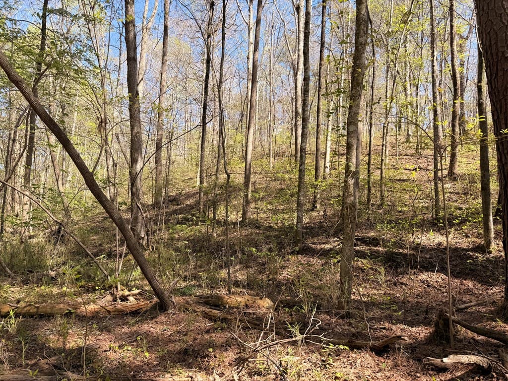 7.27 ac. Sumac Lane, Ellijay GA 30540 - Photo