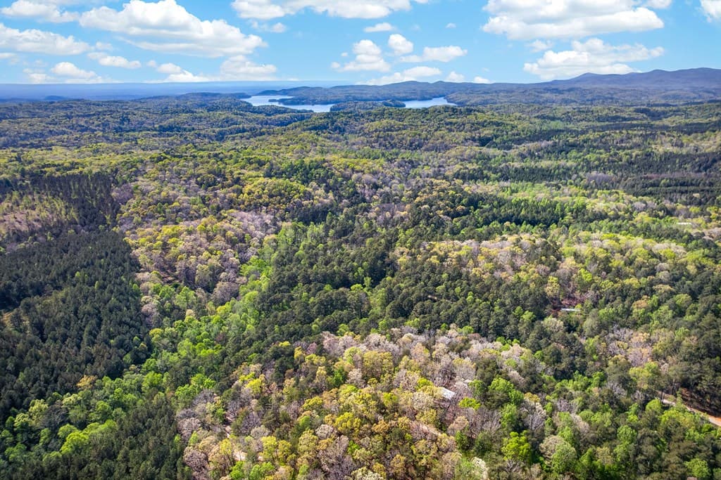 7.27 ac. Sumac Lane, Ellijay GA 30540 - Photo