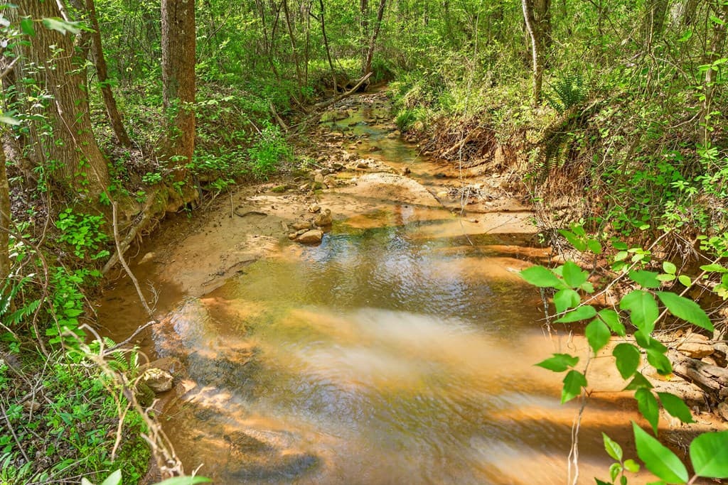 7.27 ac. Sumac Lane, Ellijay GA 30540 - Photo