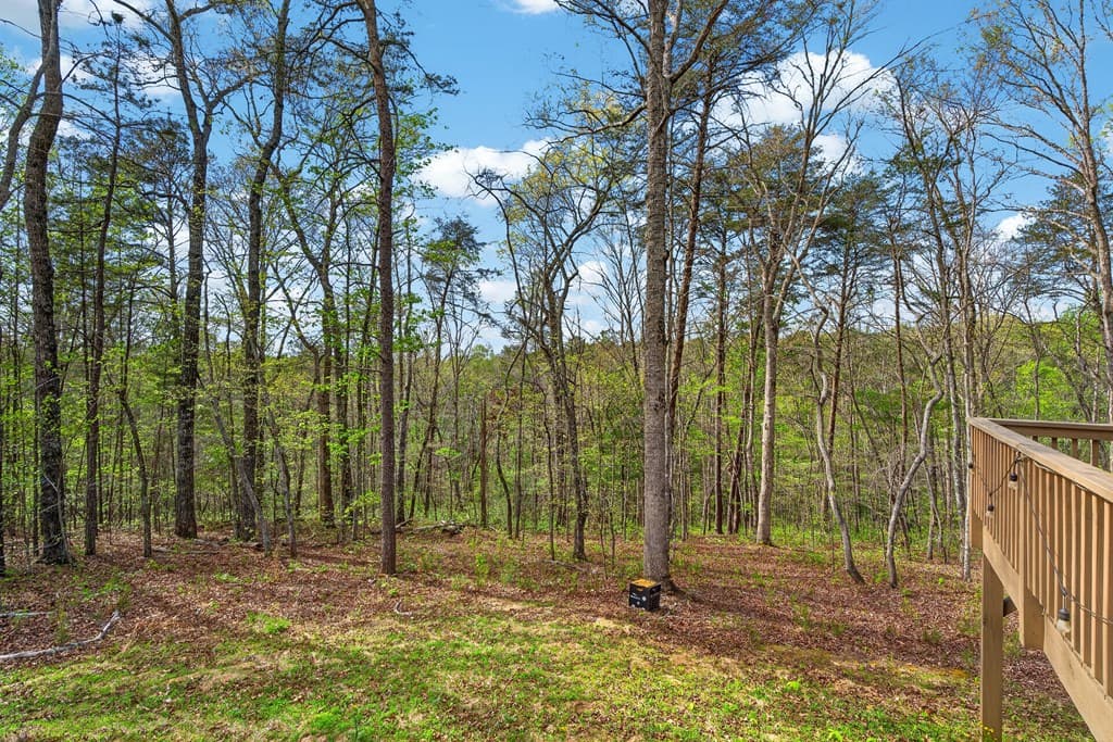 7.27 ac. Sumac Lane, Ellijay GA 30540 - Photo