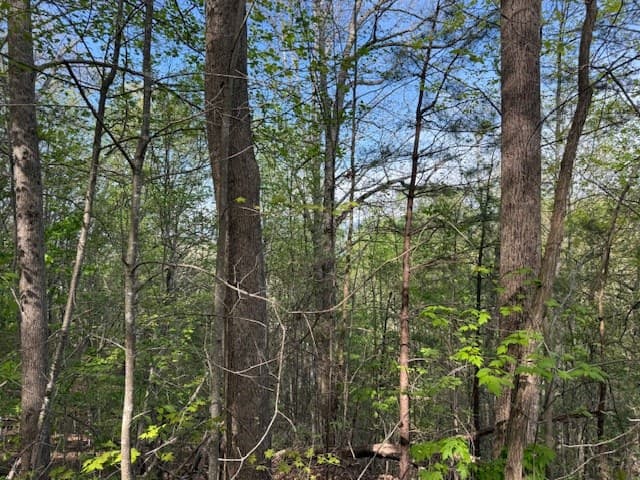 00 Mining Gap Road, Young Harris GA 30582 - Photo