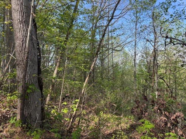 00 Mining Gap Road, Young Harris GA 30582 - Photo