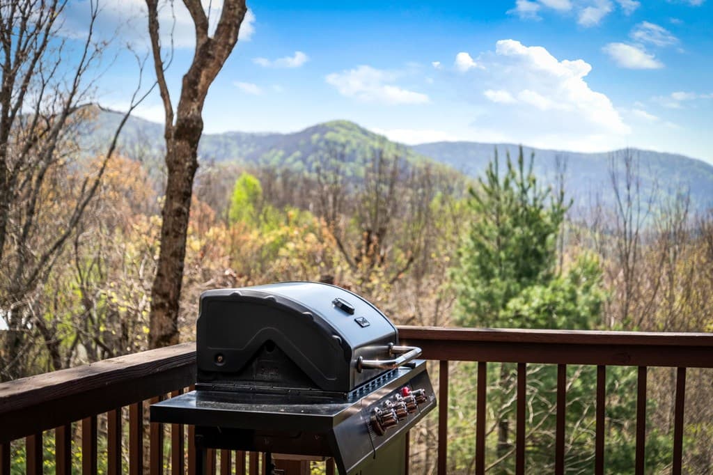 890 Brittney Drive, Blue Ridge GA 30513 - Photo