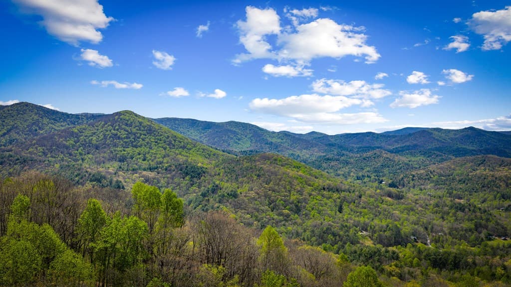 890 Brittney Drive, Blue Ridge GA 30513 - Photo