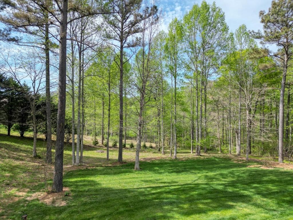338 Meadow Brooke Drive, Young Harris GA 30582 - Photo
