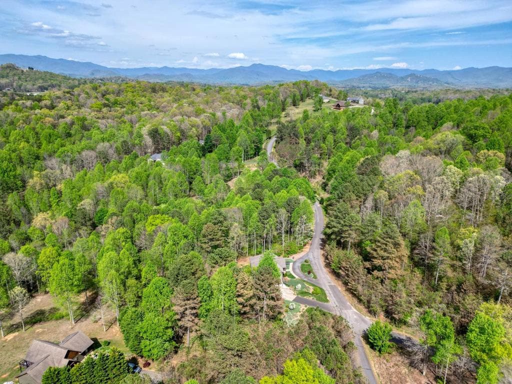 338 Meadow Brooke Drive, Young Harris GA 30582 - Photo