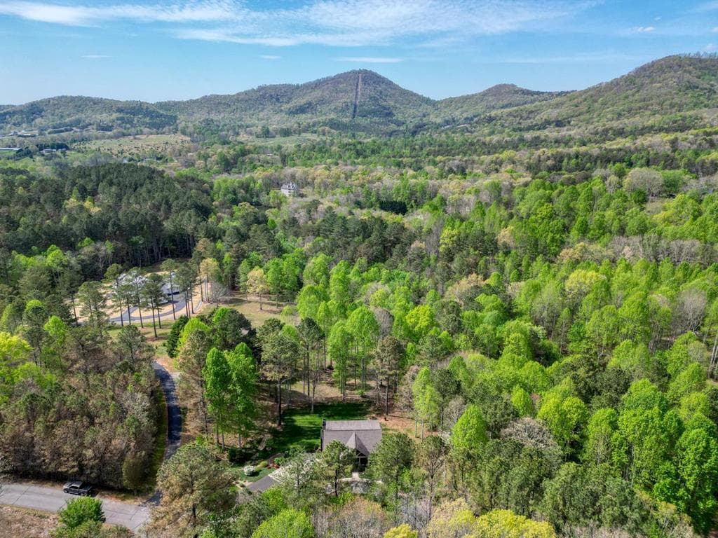 338 Meadow Brooke Drive, Young Harris GA 30582 - Photo